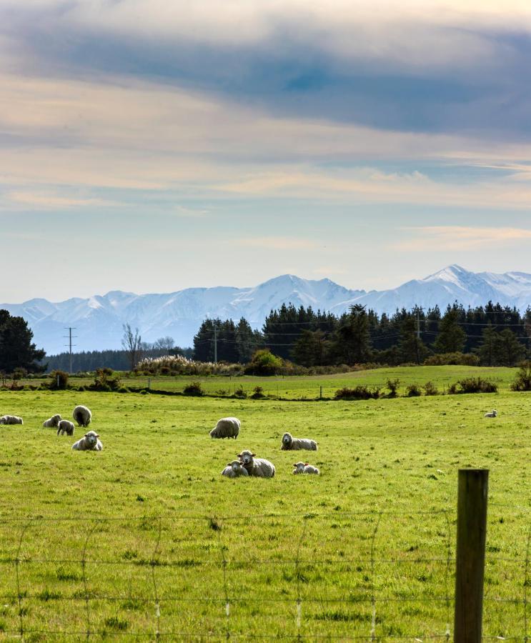 Gem Bed And Breakfast Christchurch Bagian luar foto